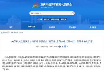 亚信科技旗下数智逻辑入选首批重庆市软件和信息服务业"满天星"示范企业